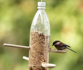 Plastic Bottle Bird Feeder